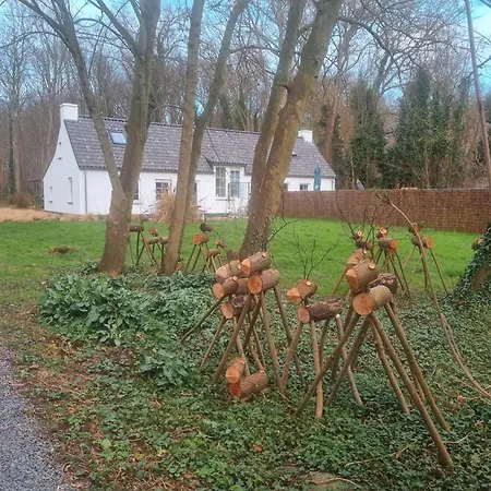 Houtsaegertje دي بان