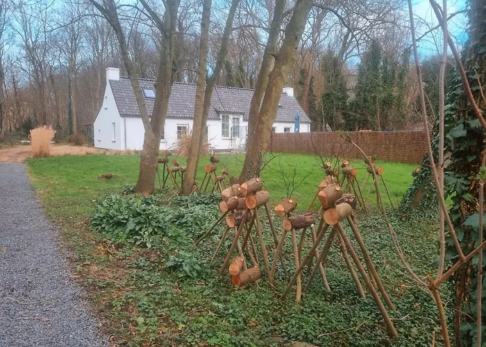 Houtsaegertje De Panne